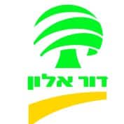 דור אלון